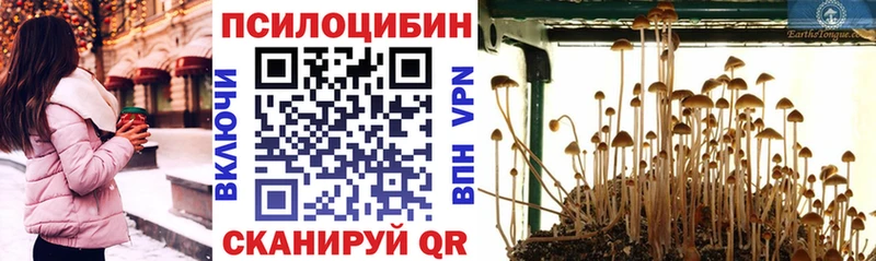 Псилоцибиновые грибы GOLDEN TEACHER  Щёлкино 